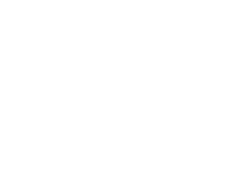DV Marketing